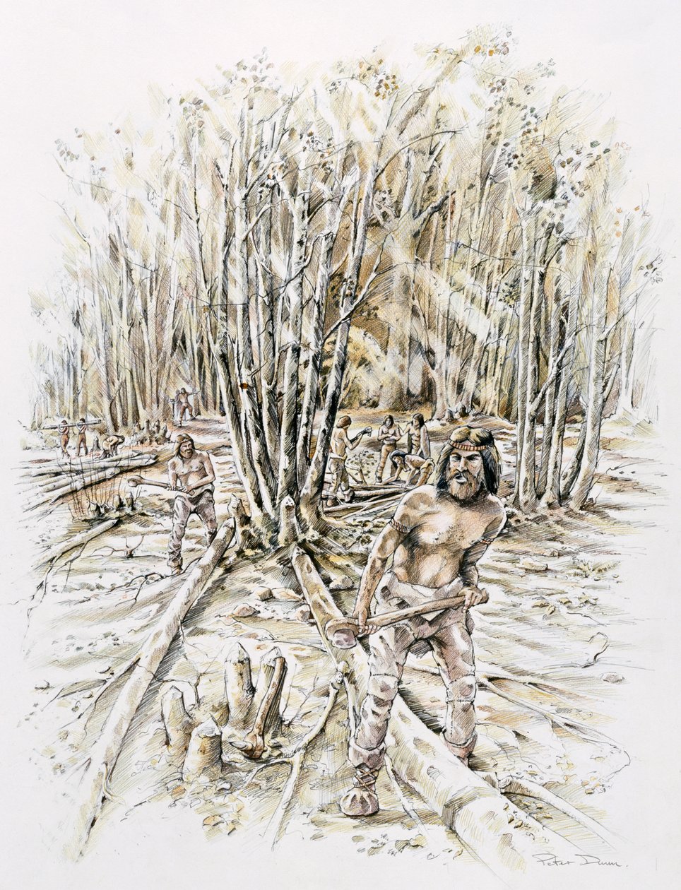 Zastosowania krzemienia-zagajnika, Prehistoryczne, c1990-2010 autorstwa Peter Dunn