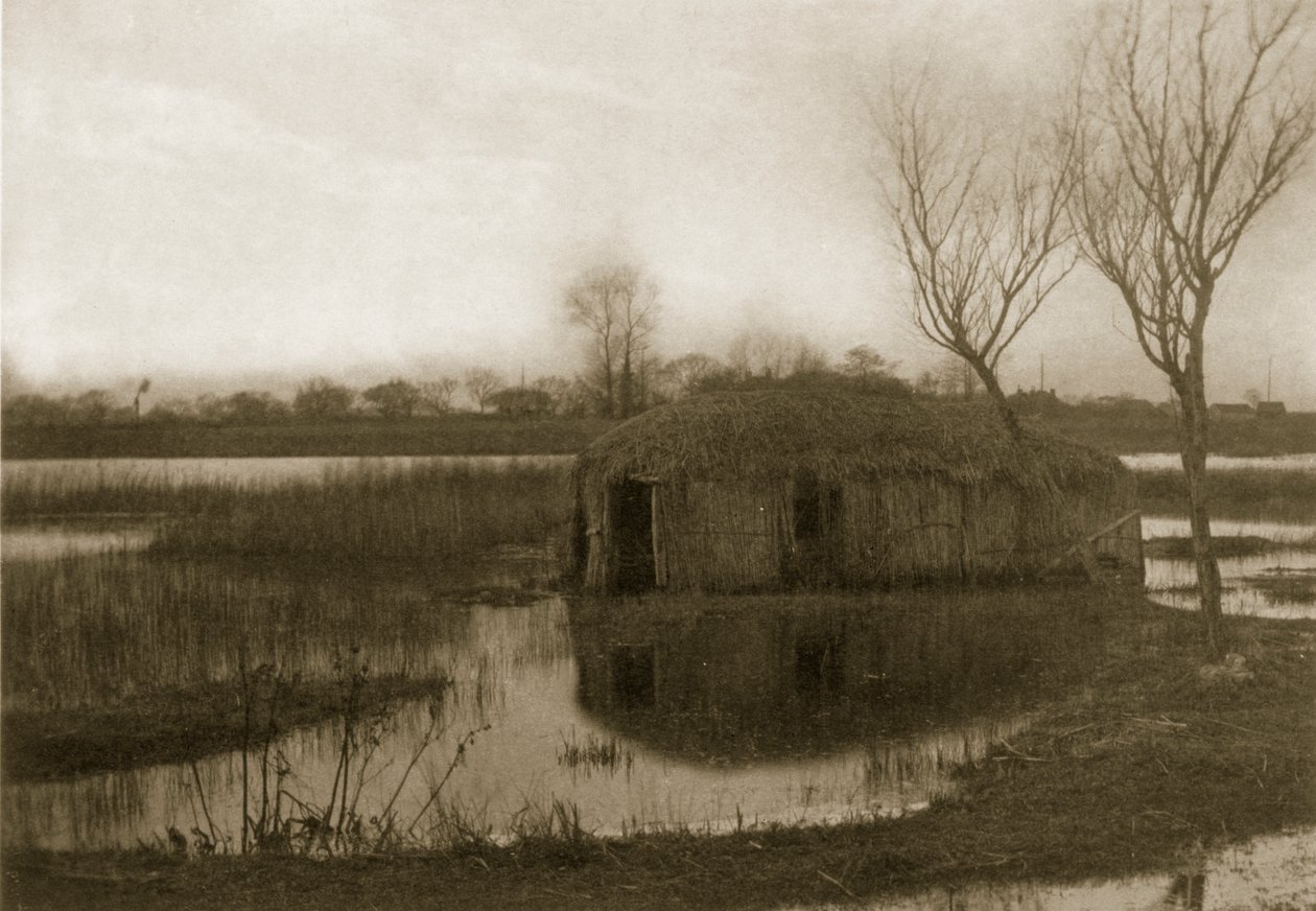 Dom na trzcinowej łodzi, życie i krajobraz na Norfolk Broads, ok. 1886 r. autorstwa Peter Emerson und Thomas Goodall