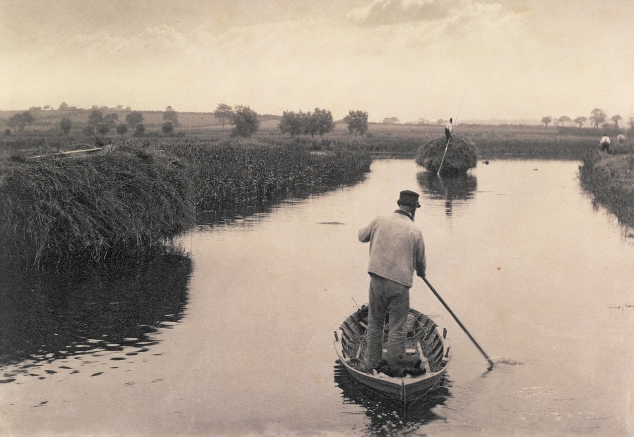 Ćwiartowanie siana bagiennego, życie i krajobraz na Norfolk Broads, c.1886 autorstwa Peter Emerson und Thomas Goodall