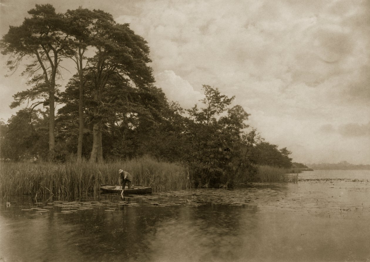 Strach na szczupaka, ok. 1886 r. autorstwa Peter Emerson und Thomas Goodall