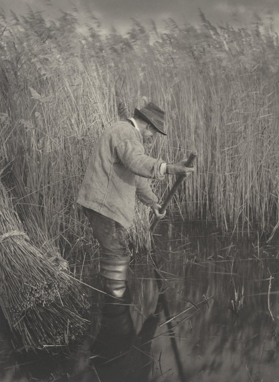 Przecinak trzciny w pracy, 1886. Twórcy: dr Peter Henry Emerson, Thomas Frederick Goodall. autorstwa Peter Henry Emerson, Thomas Frederick Goodall