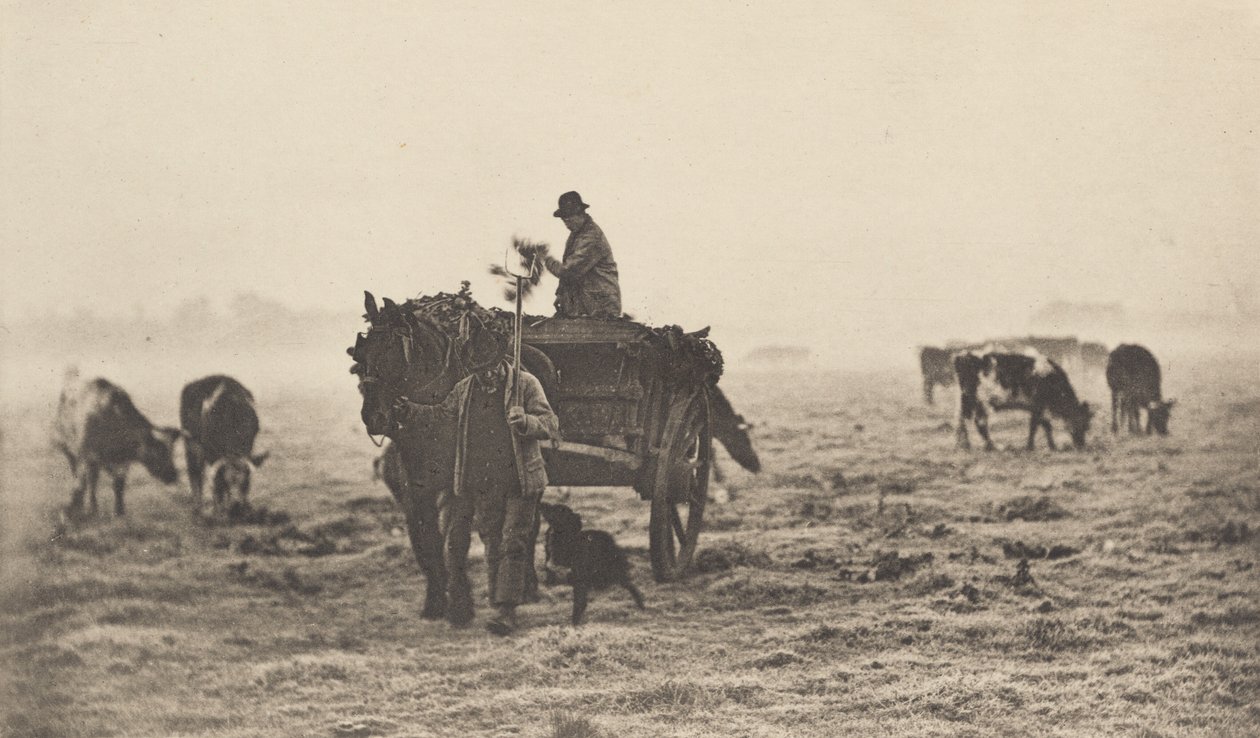 Mroźny poranek autorstwa Peter Henry Emerson