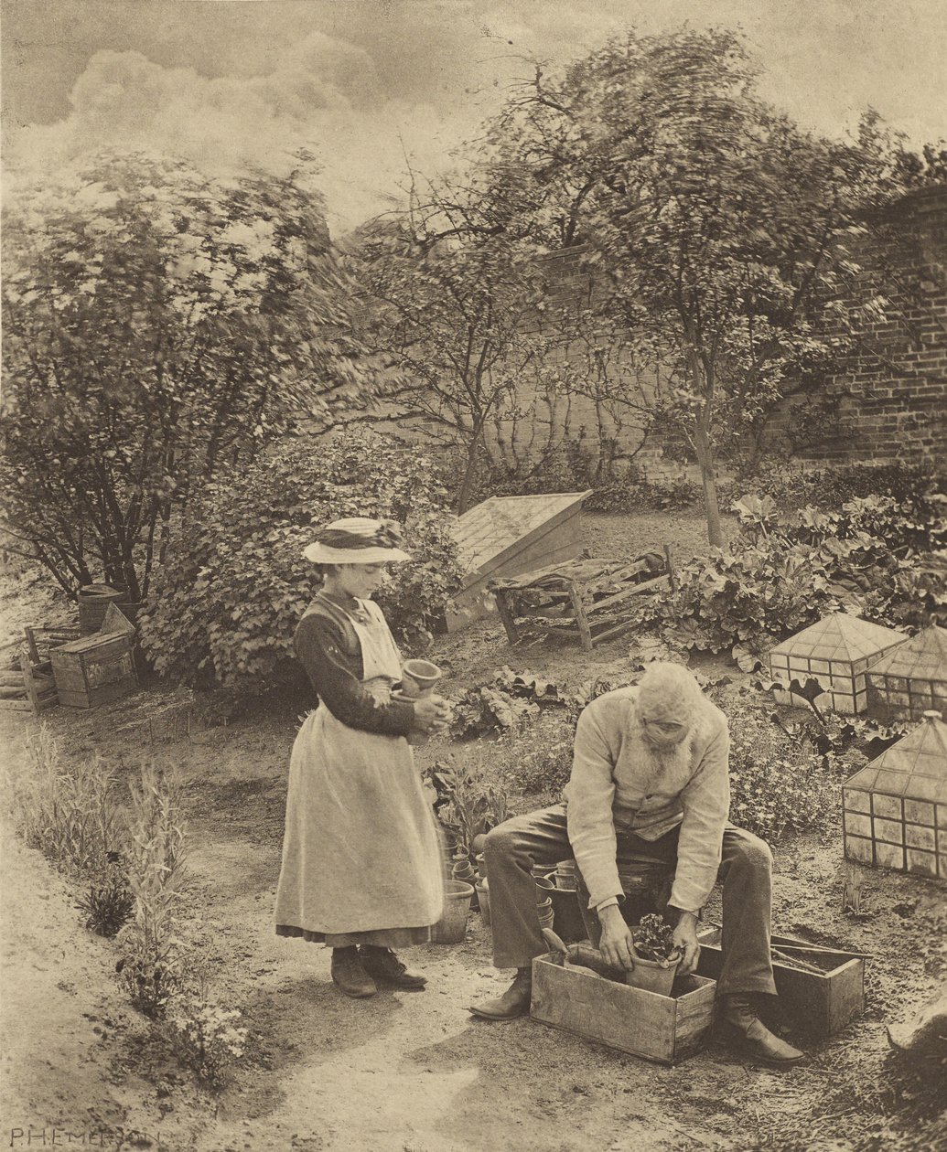 Koniec ogrodu. [Suffolk.] autorstwa Peter Henry Emerson