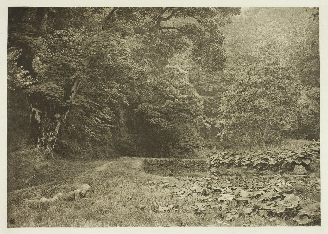 Cichy zakątek w Beresford Dale autorstwa Peter Henry Emerson