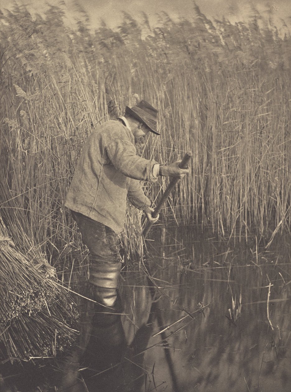 Trzciniarz przy pracy autorstwa Peter Henry Emerson