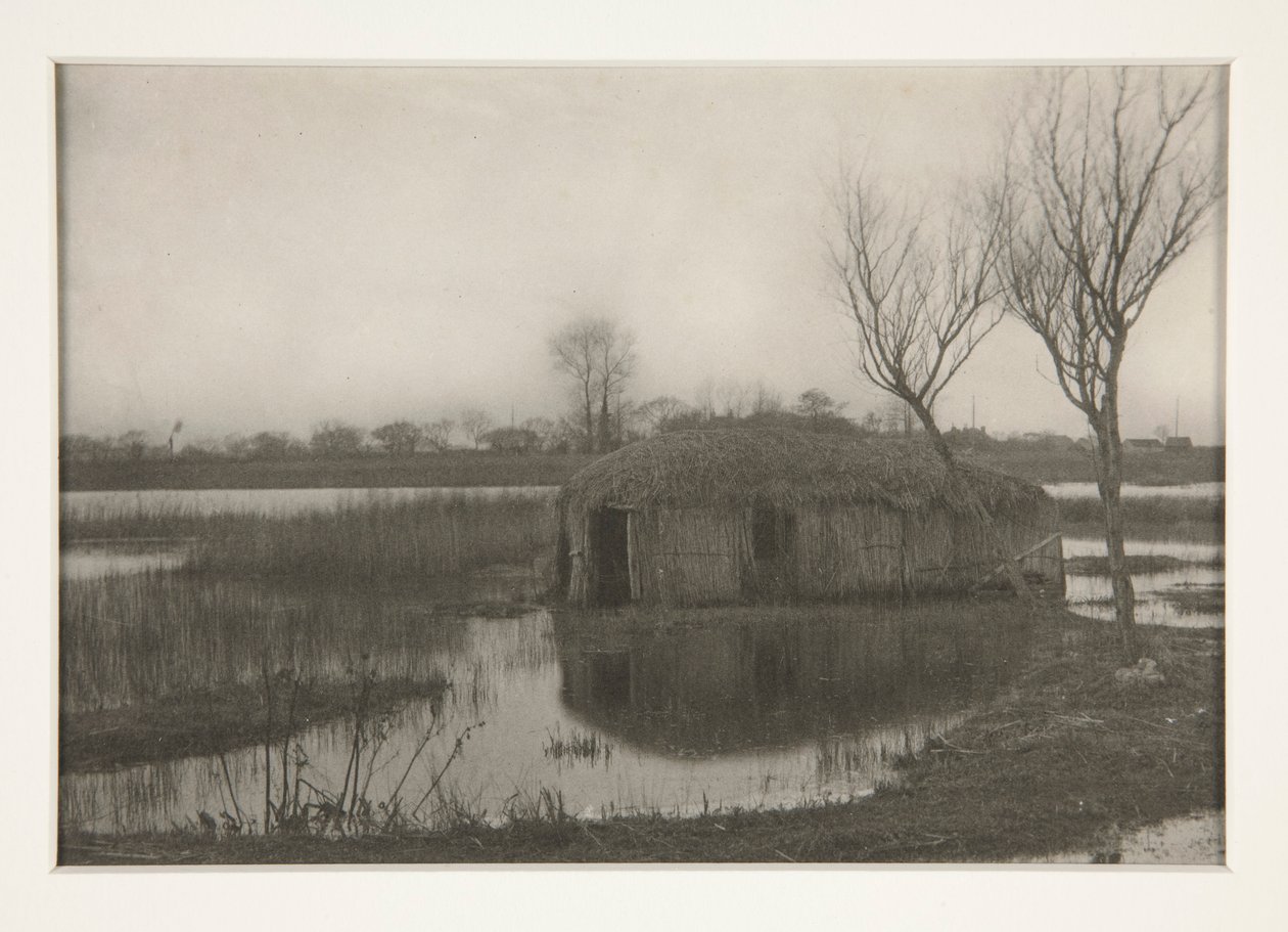 Szklarnia trzcinowa, tablica XXXI z życia i krajobrazu na deskach Norfolk autorstwa Peter Henry Emerson