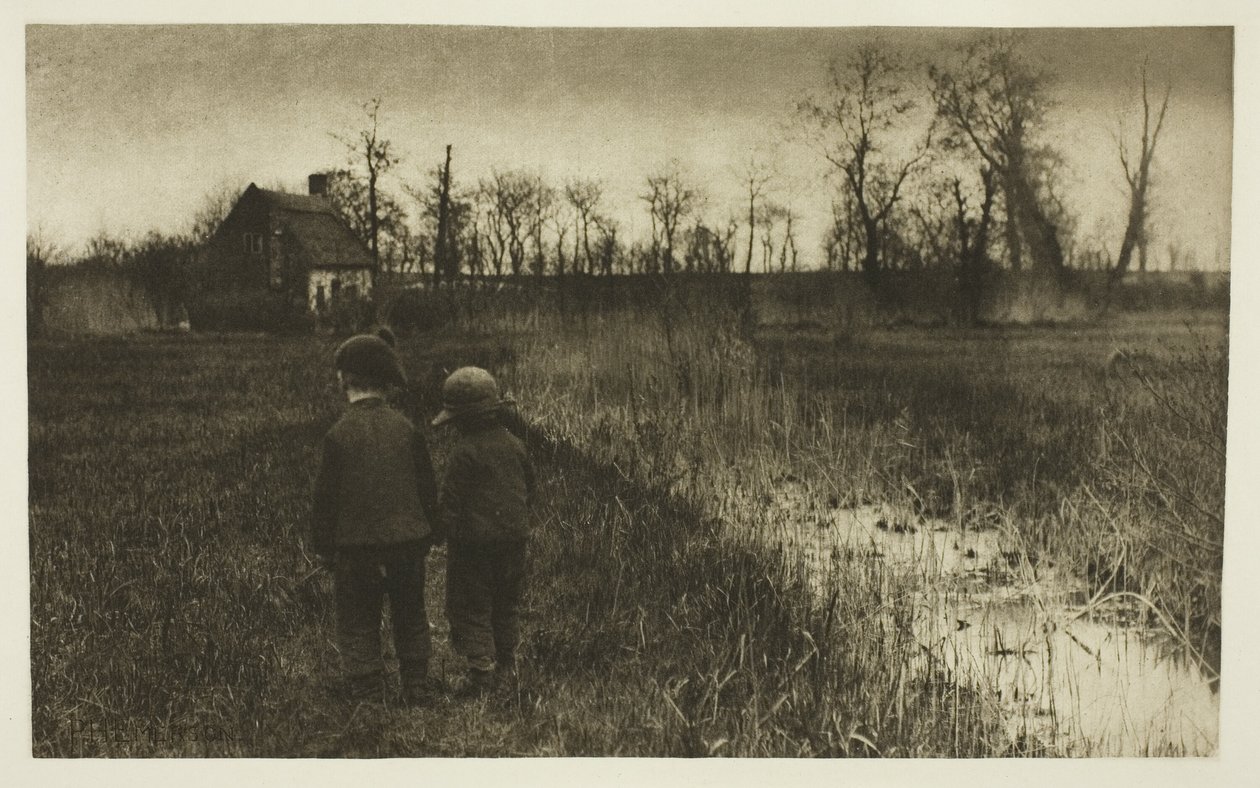 Ropucha na drodze: wczesna wiosna w Norfolk autorstwa Peter Henry Emerson
