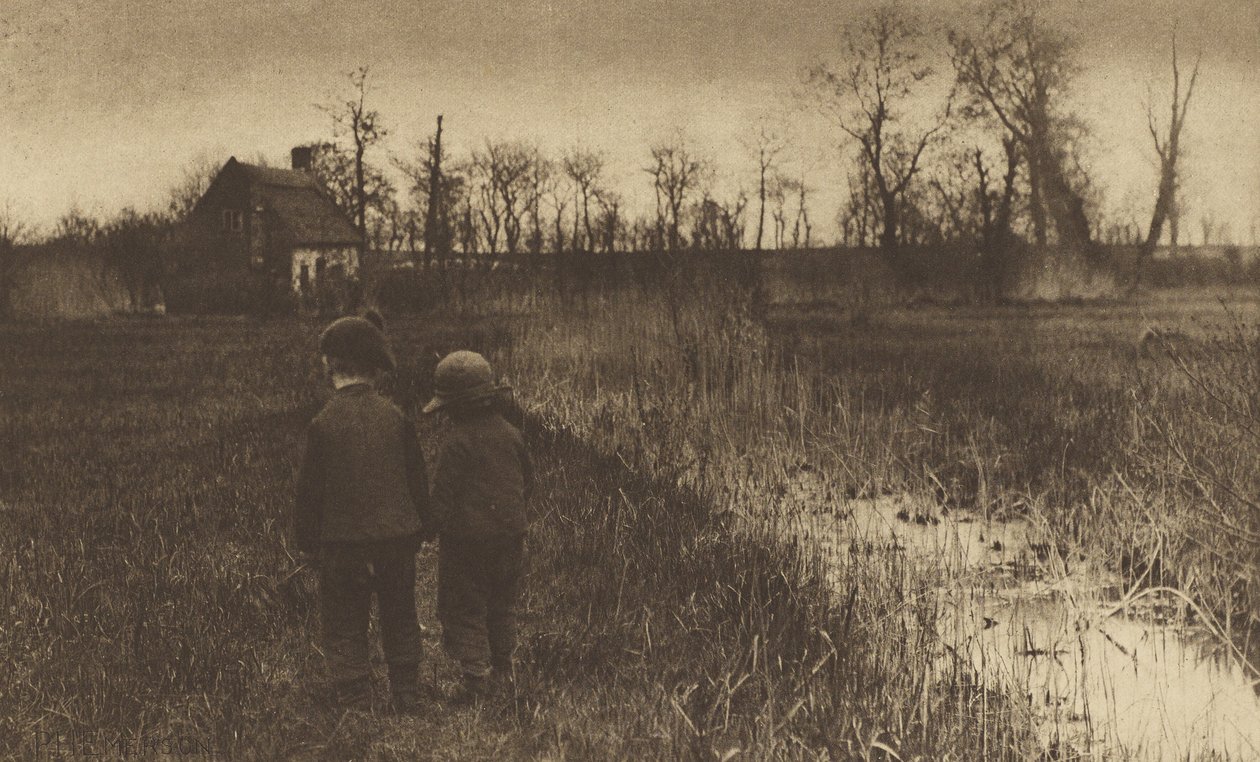 Ropucha na ścieżce: wczesna wiosna w Norfolk autorstwa Peter Henry Emerson