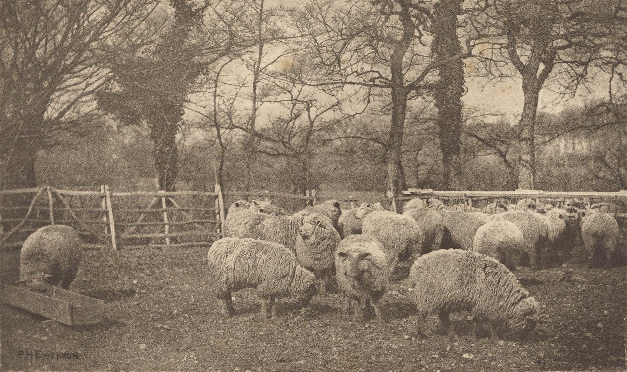 Jesienna sielanka autorstwa Peter Henry Emerson