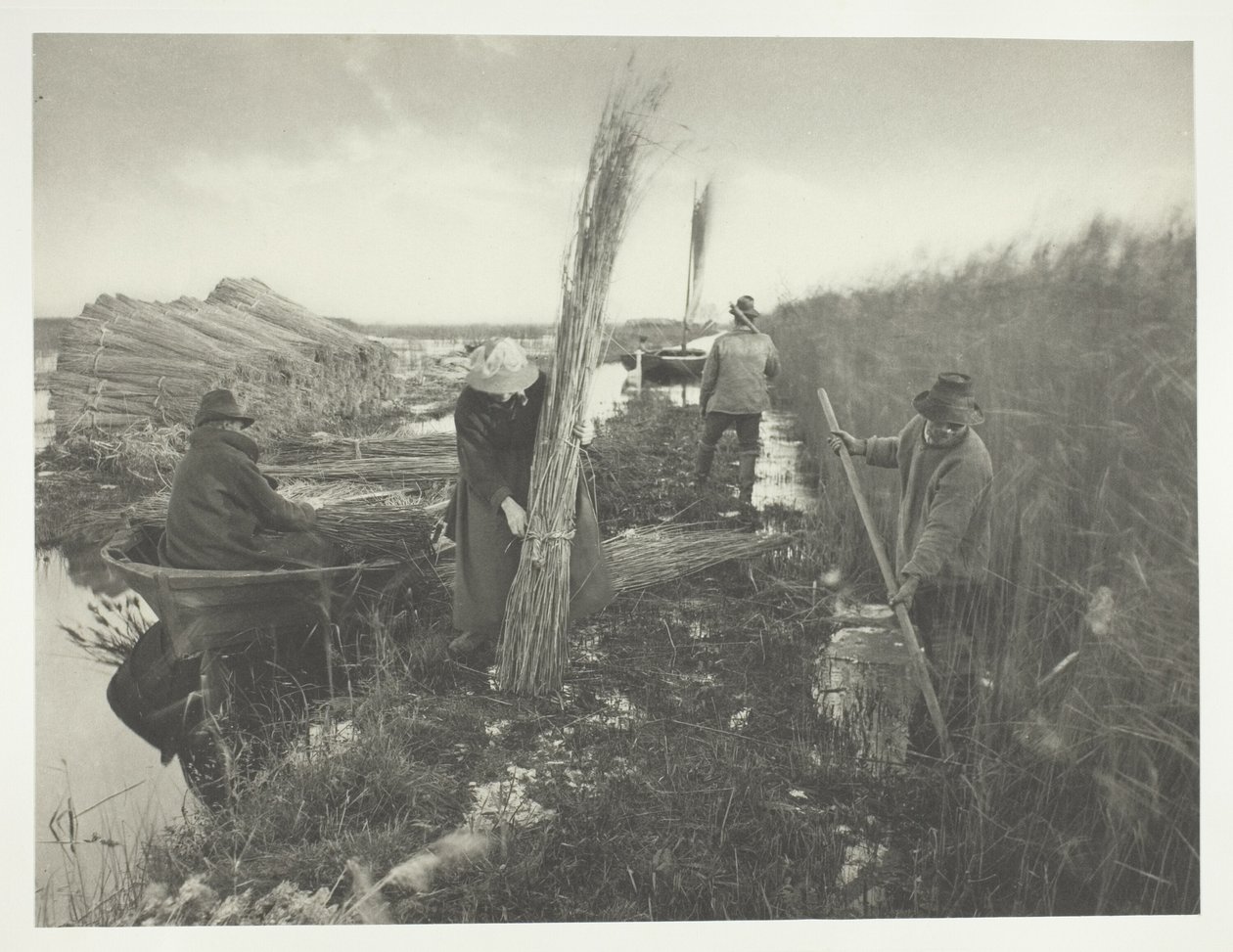 Podczas zbiorów trzciny autorstwa Peter Henry Emerson