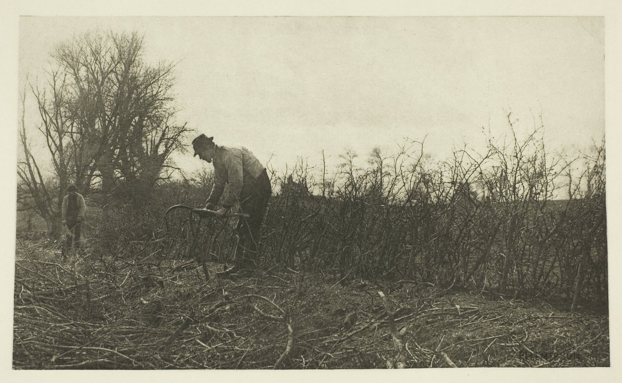 Szermierka w Suffolk autorstwa Peter Henry Emerson