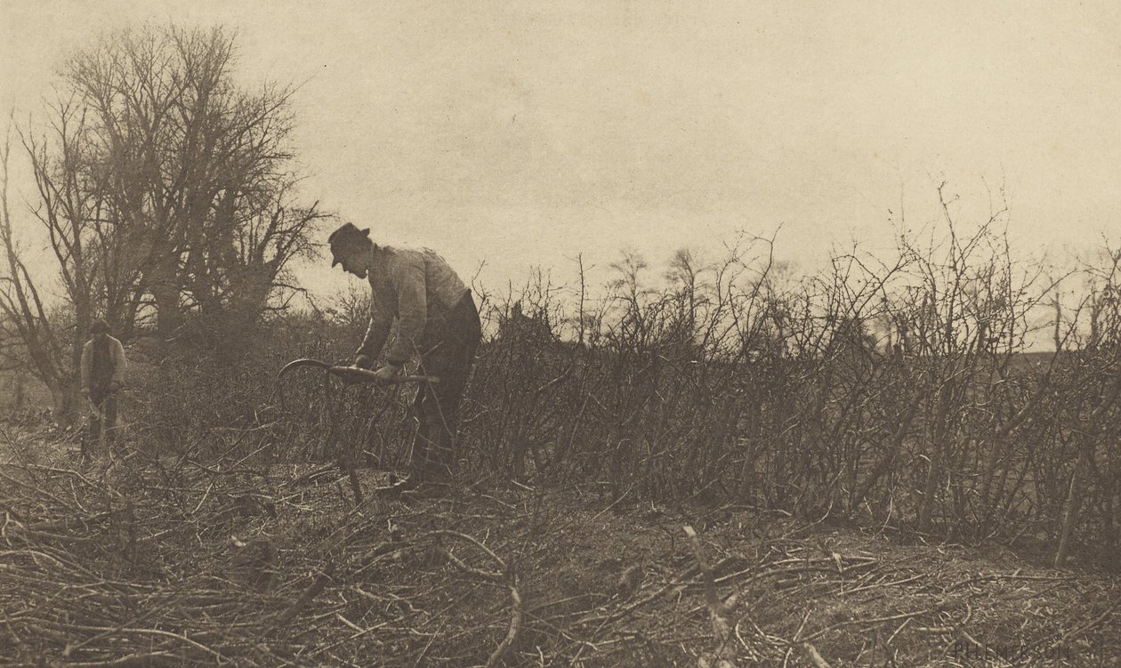 Ogrodzenia w Suffolk autorstwa Peter Henry Emerson