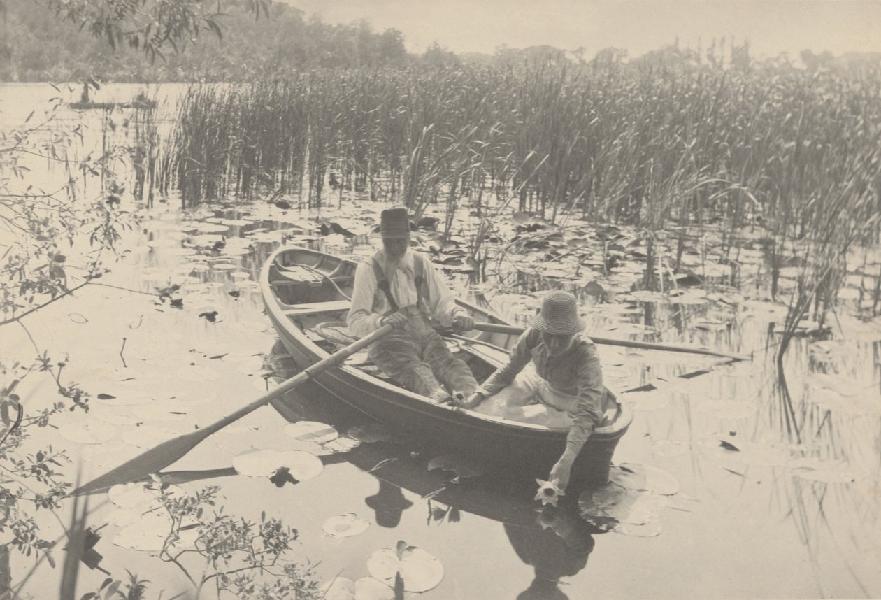 Zbieranie lilii wodnych, 1886 (zdjęcie) autorstwa Peter Henry Emerson