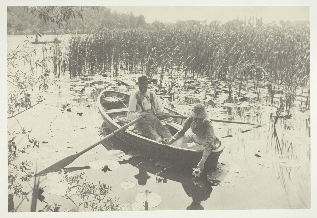 Zbieranie Lilii Wodnych autorstwa Peter Henry Emerson