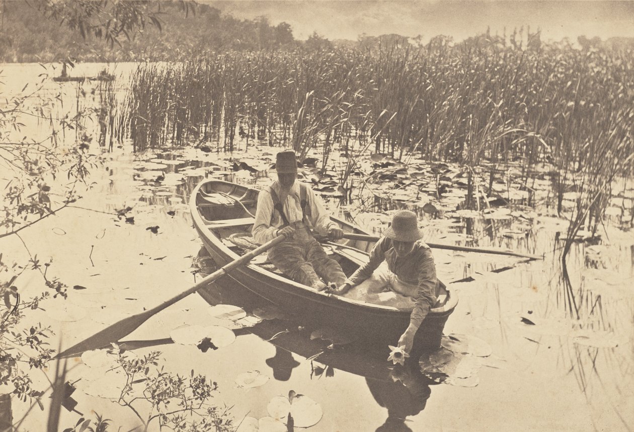 Zbieranie lilii wodnych autorstwa Peter Henry Emerson