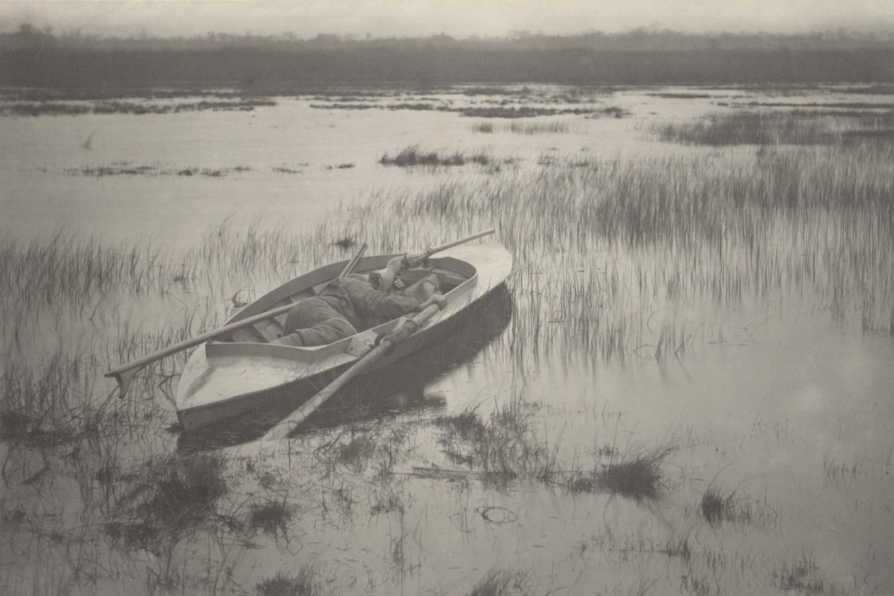 Strzelec pracujący przy ptactwie, 1886 r. (zdjęcie) autorstwa Peter Henry Emerson