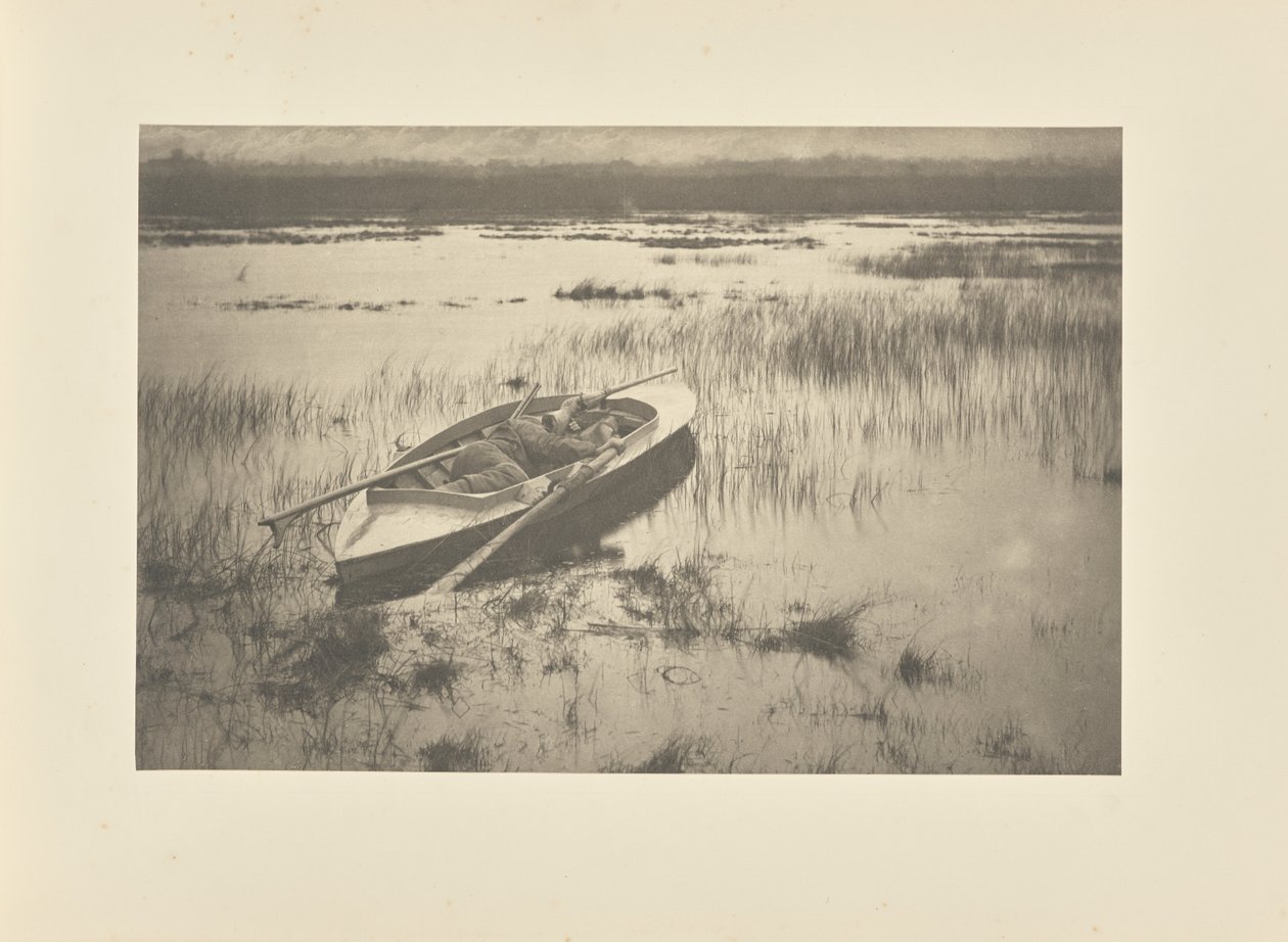 Pies myśliwski skradający się do drobiu autorstwa Peter Henry Emerson
