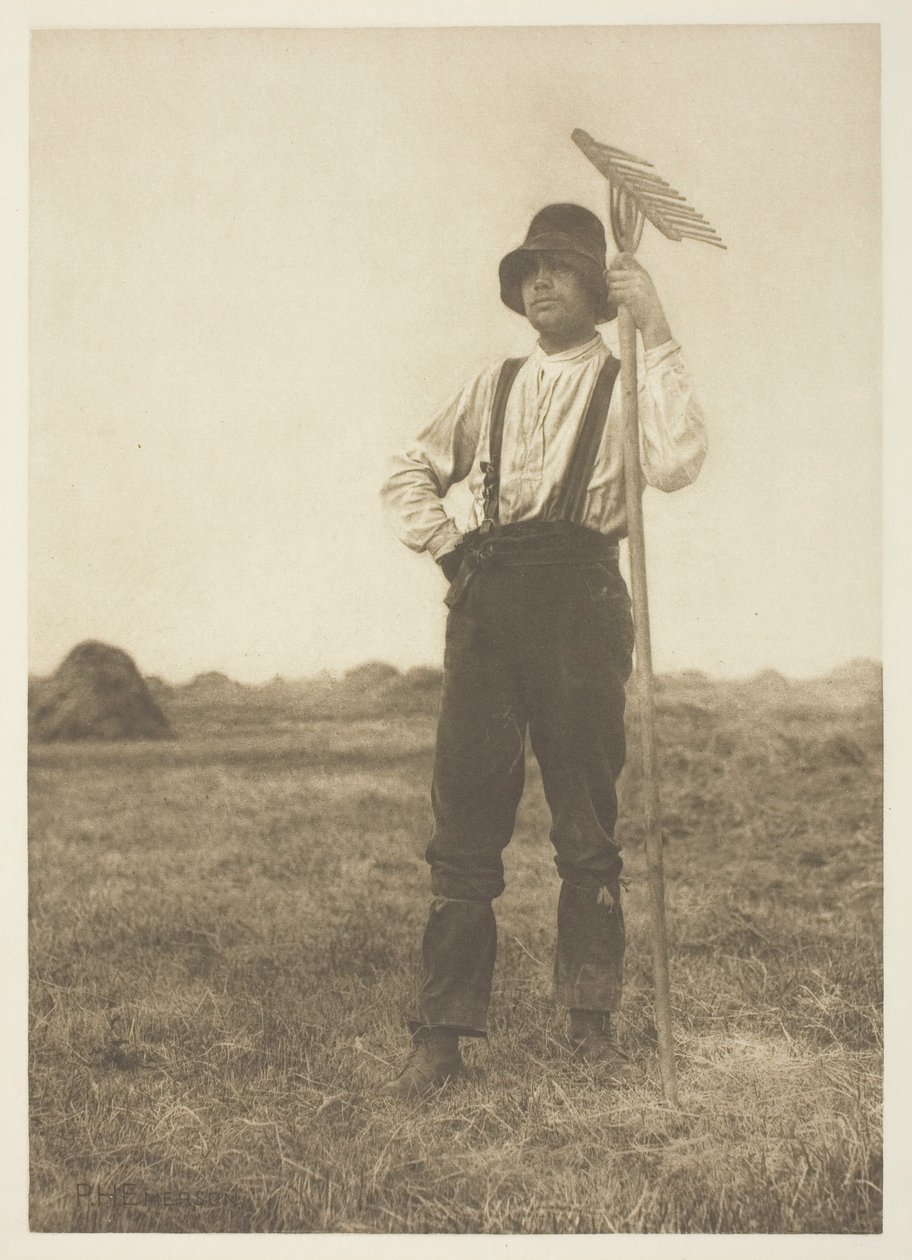 Sianokos z grabiami (Norfolk) autorstwa Peter Henry Emerson
