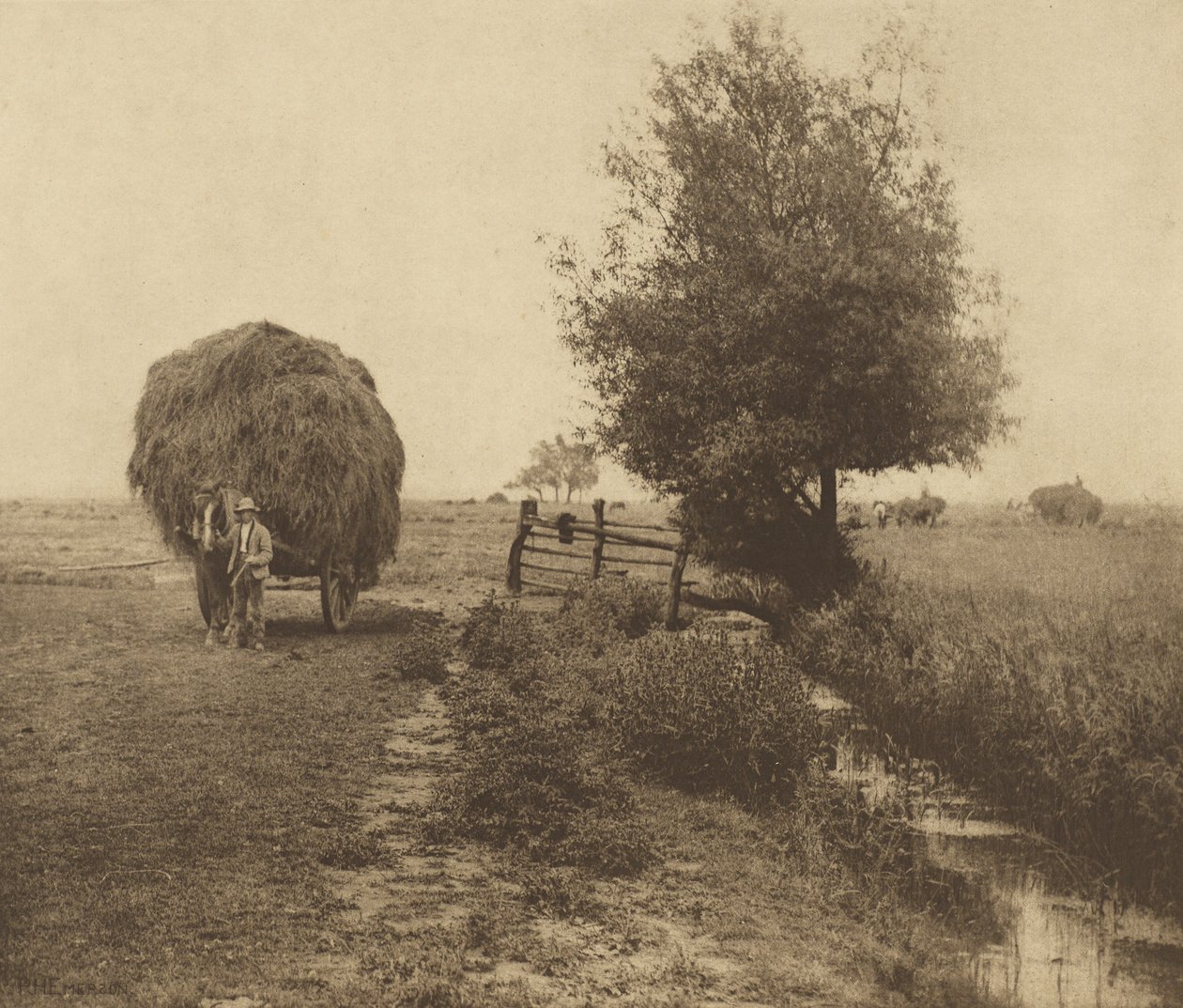Na łące siennej. [Norfolk.] autorstwa Peter Henry Emerson