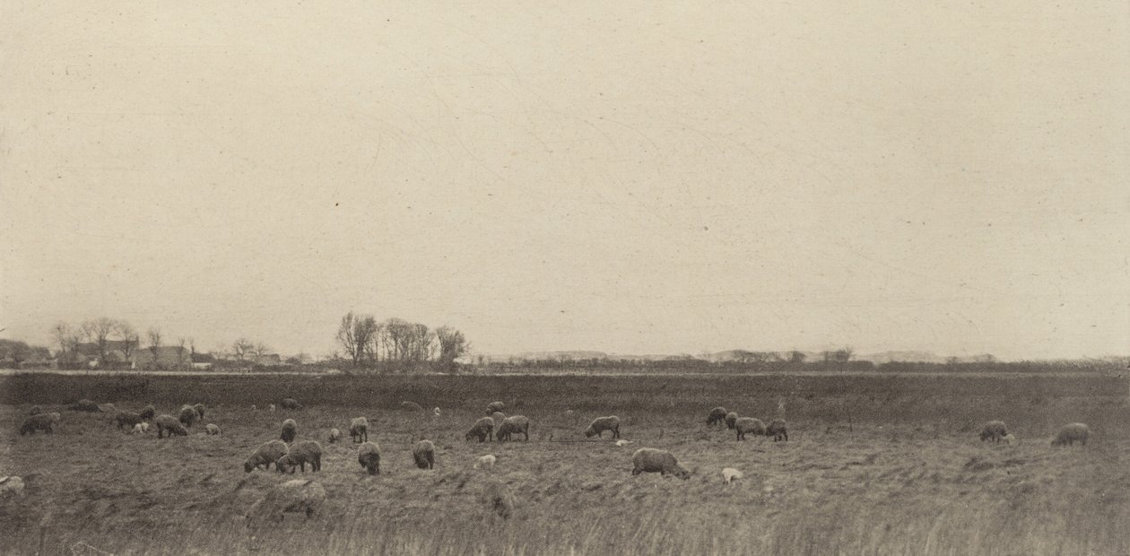 Bagna nad Morzem Północnym, 1890-1891, wydrukowane 1893. autorstwa Peter Henry Emerson