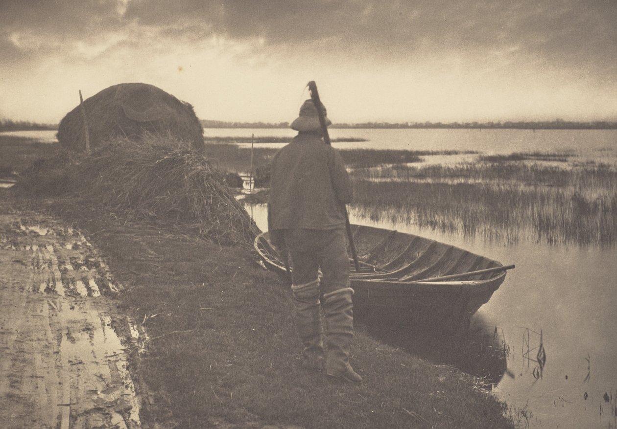 Mieszkaniec bagien idący ścinać trzcinę autorstwa Peter Henry Emerson