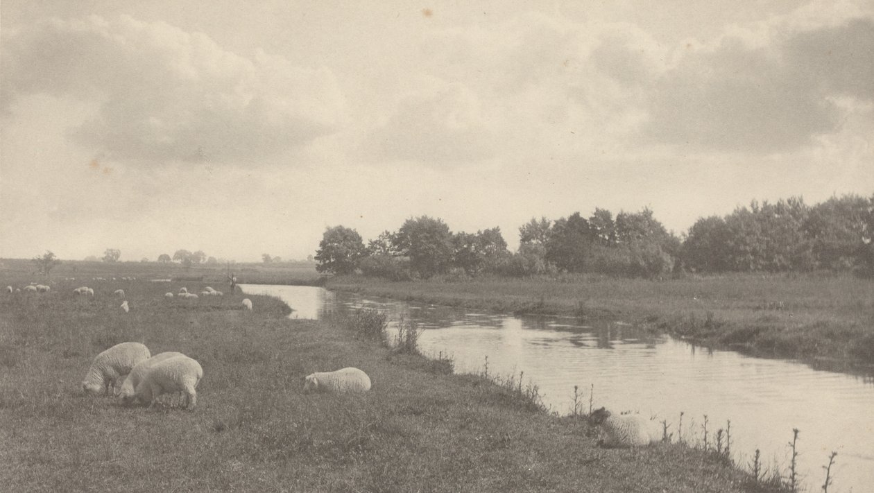 Na rzece Bure, 1886 (zdjęcie) autorstwa Peter Henry Emerson