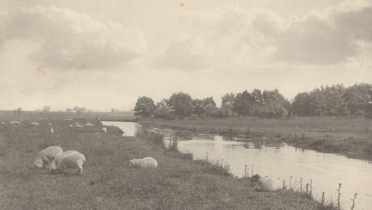 Na rzece Bure autorstwa Peter Henry Emerson