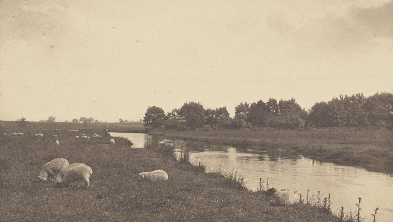 Na rzece Bure autorstwa Peter Henry Emerson