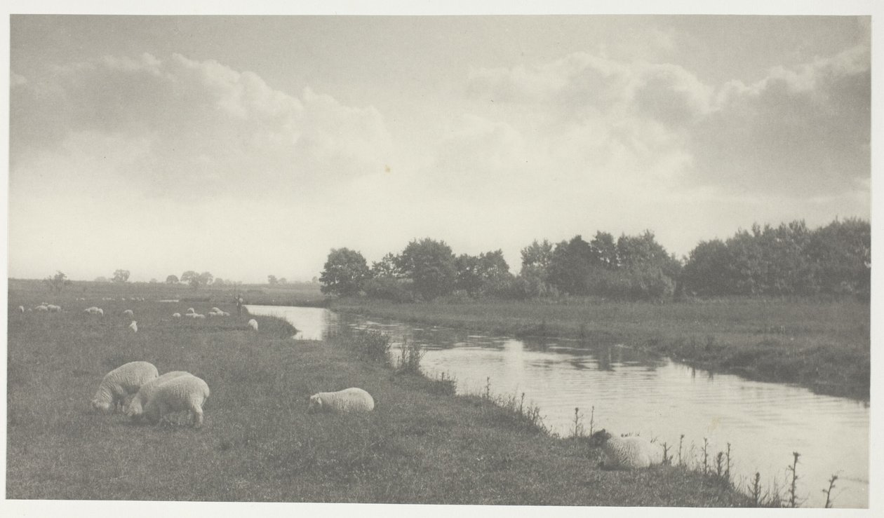 Na rzece Bure autorstwa Peter Henry Emerson