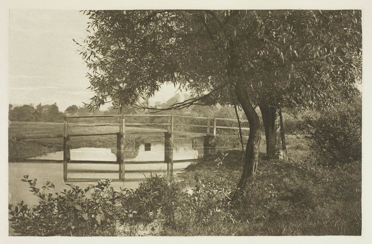 Na "Sow", w pobliżu domu Waltona w Shallowford autorstwa Peter Henry Emerson