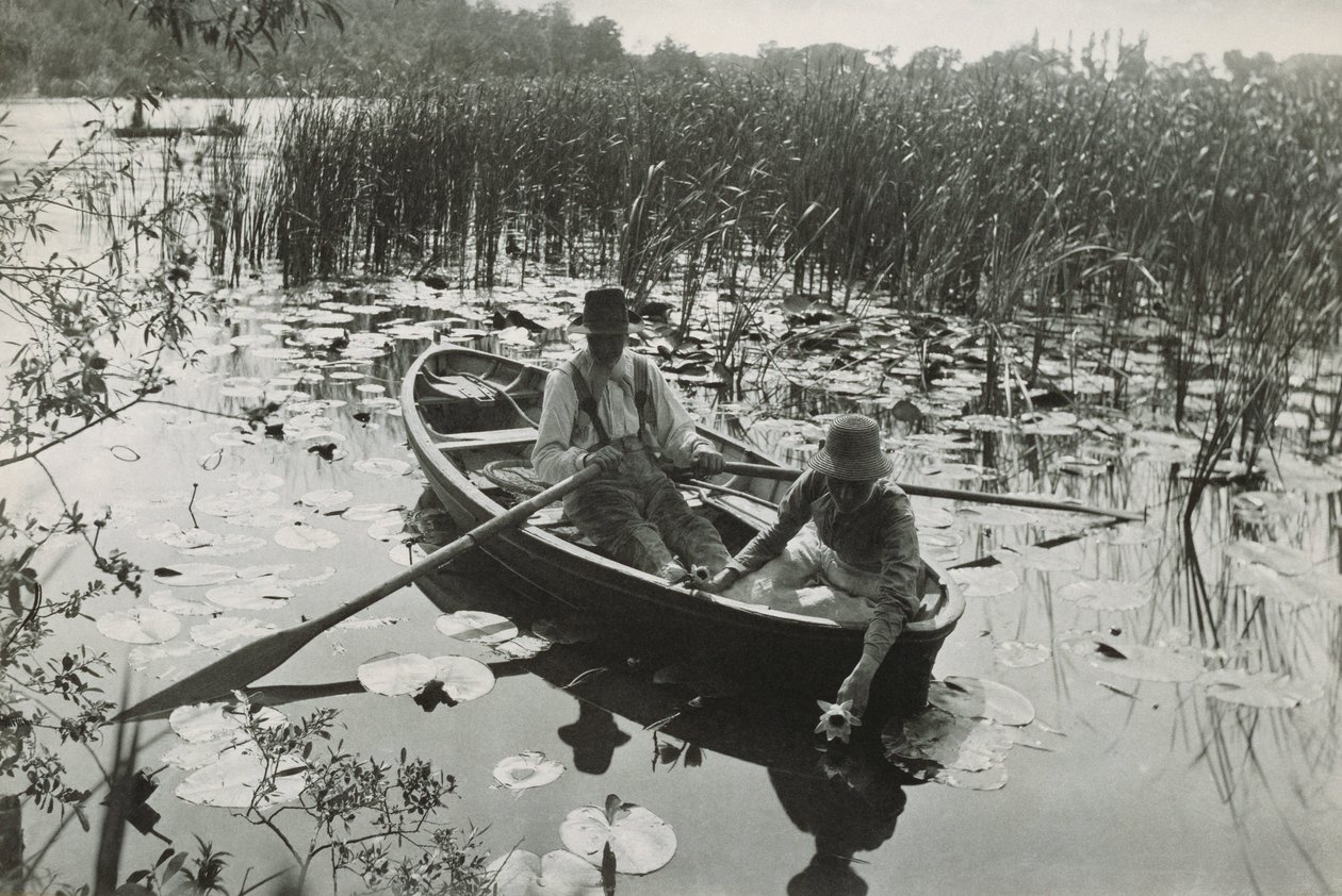 Jeden z czterdziestu platynowych grafik z „Life and Landscape on the Norfolk Broads” autorstwa Peter Henry Emerson
