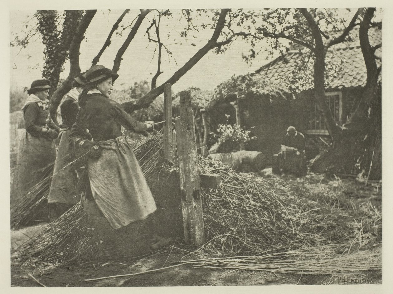 Osier-Peeling (Norfolk) autorstwa Peter Henry Emerson