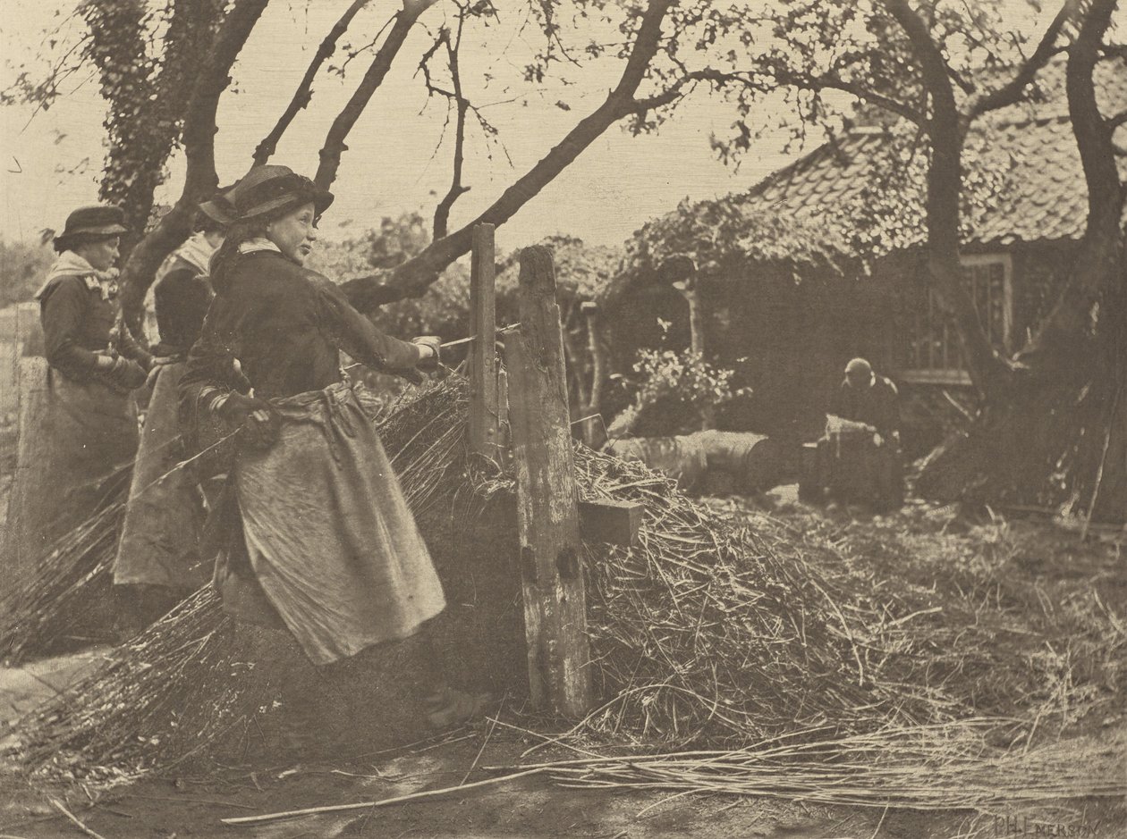 OsierPeeling. [Norfolk]]. autorstwa Peter Henry Emerson