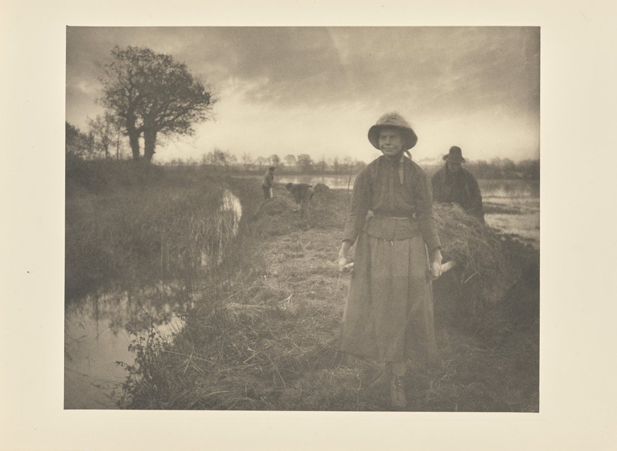 Zbiór siana na bagnach autorstwa Peter Henry Emerson