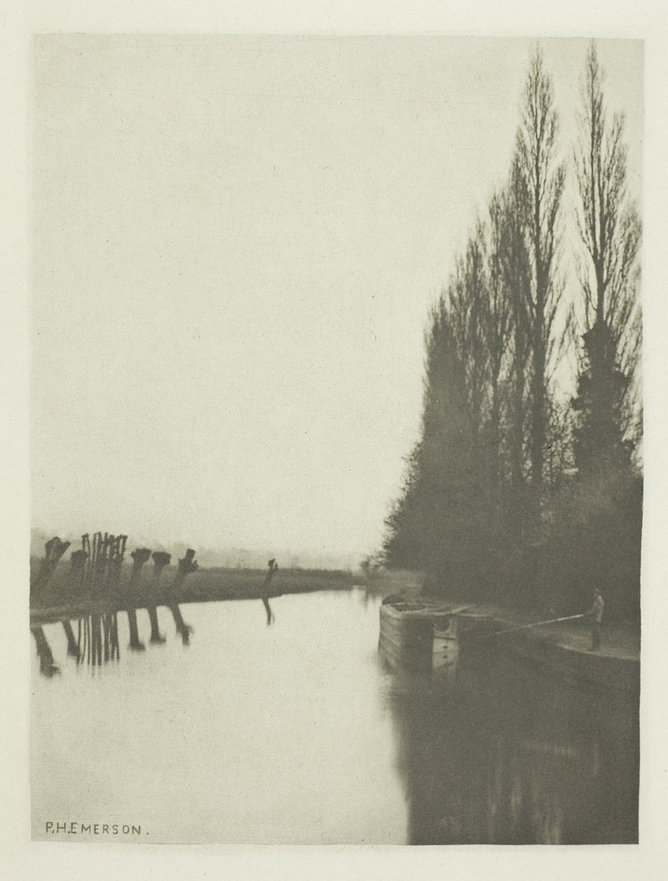 Topole i pollardy nad rzeką Lea, niedaleko Broxbourne autorstwa Peter Henry Emerson