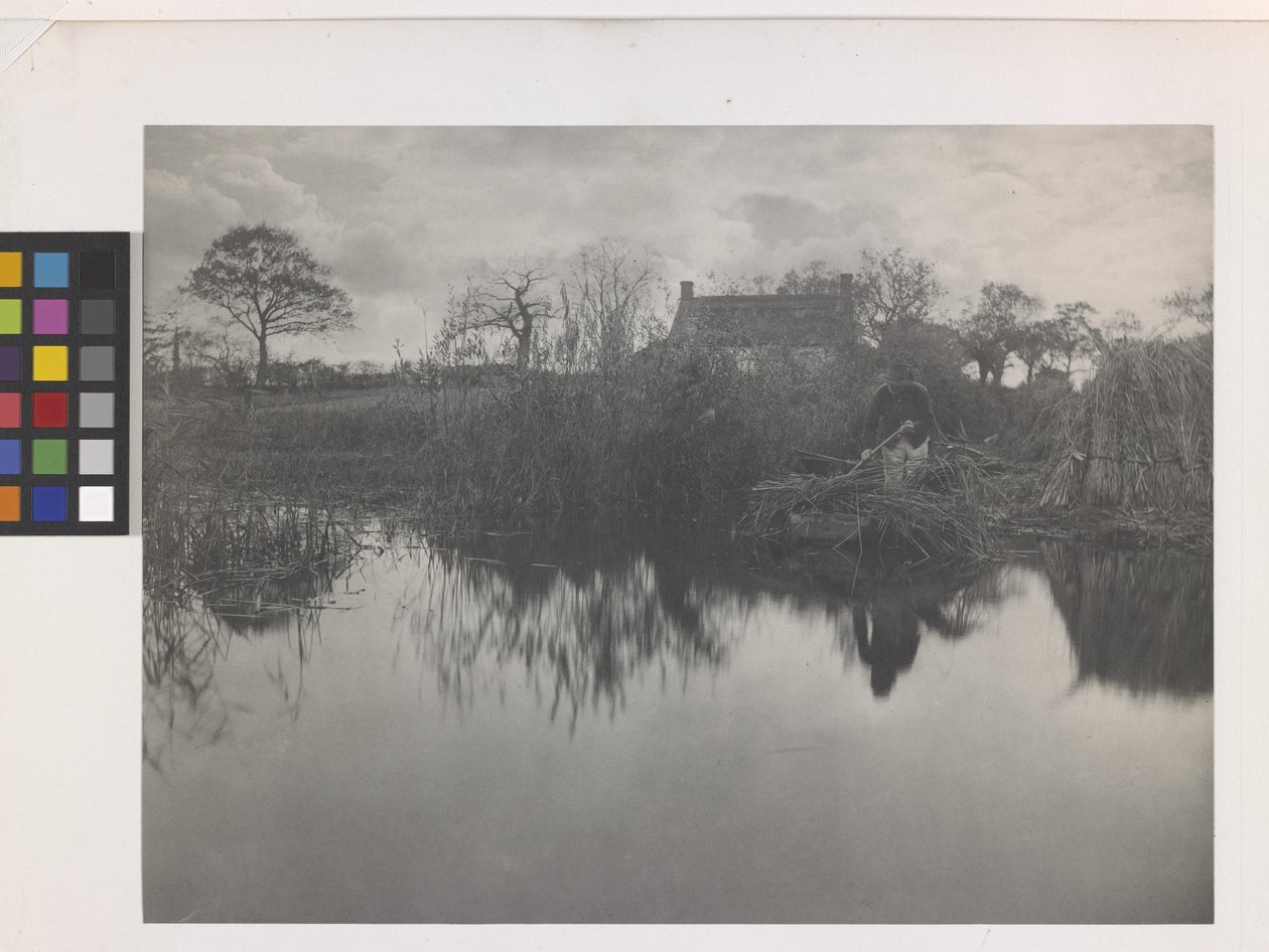Quanting The Gladdon (platynowy nadruk na oryginalnym uchwycie) autorstwa Peter Henry Emerson