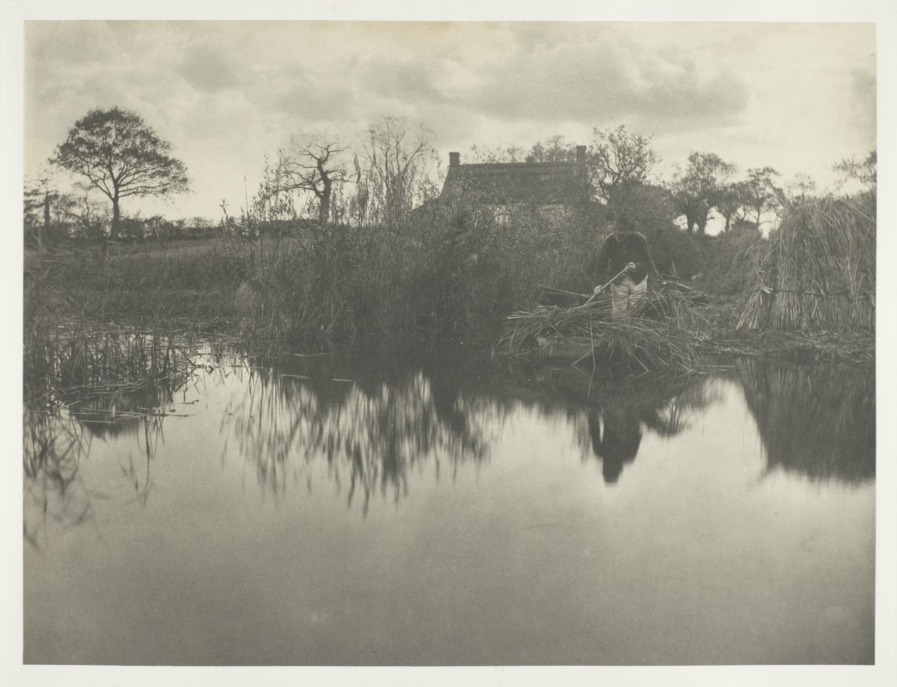 Kwantowanie Gladdon autorstwa Peter Henry Emerson