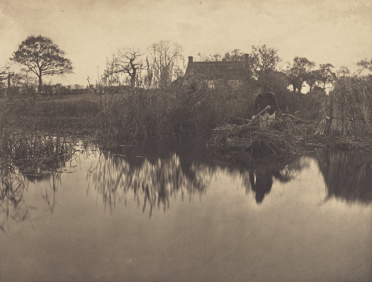 Pchanie łodzi tyczką na Gladdonie autorstwa Peter Henry Emerson