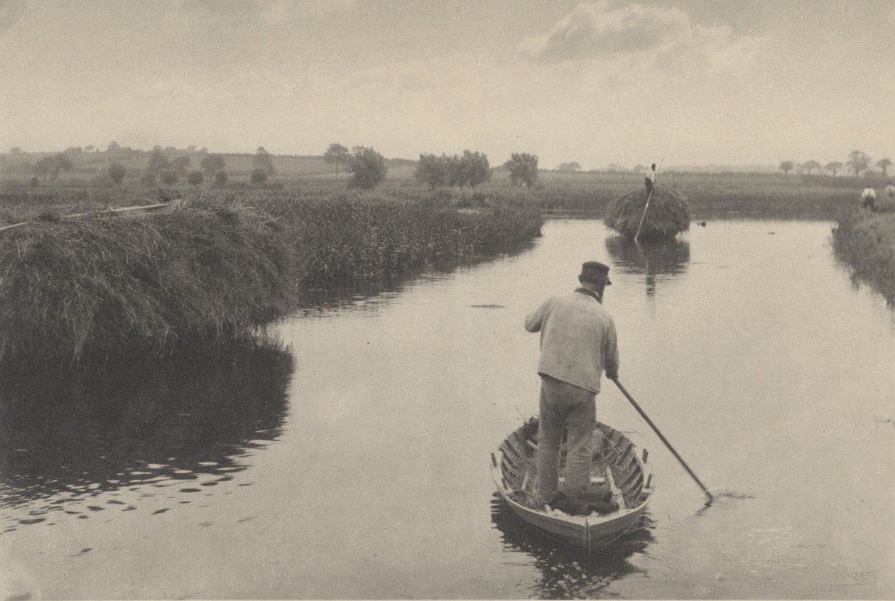 Obliczanie siana bagiennego autorstwa Peter Henry Emerson