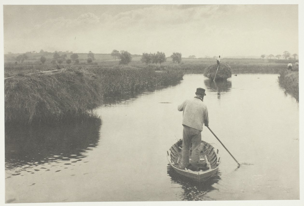 Kwantyzacja siana bagiennego autorstwa Peter Henry Emerson