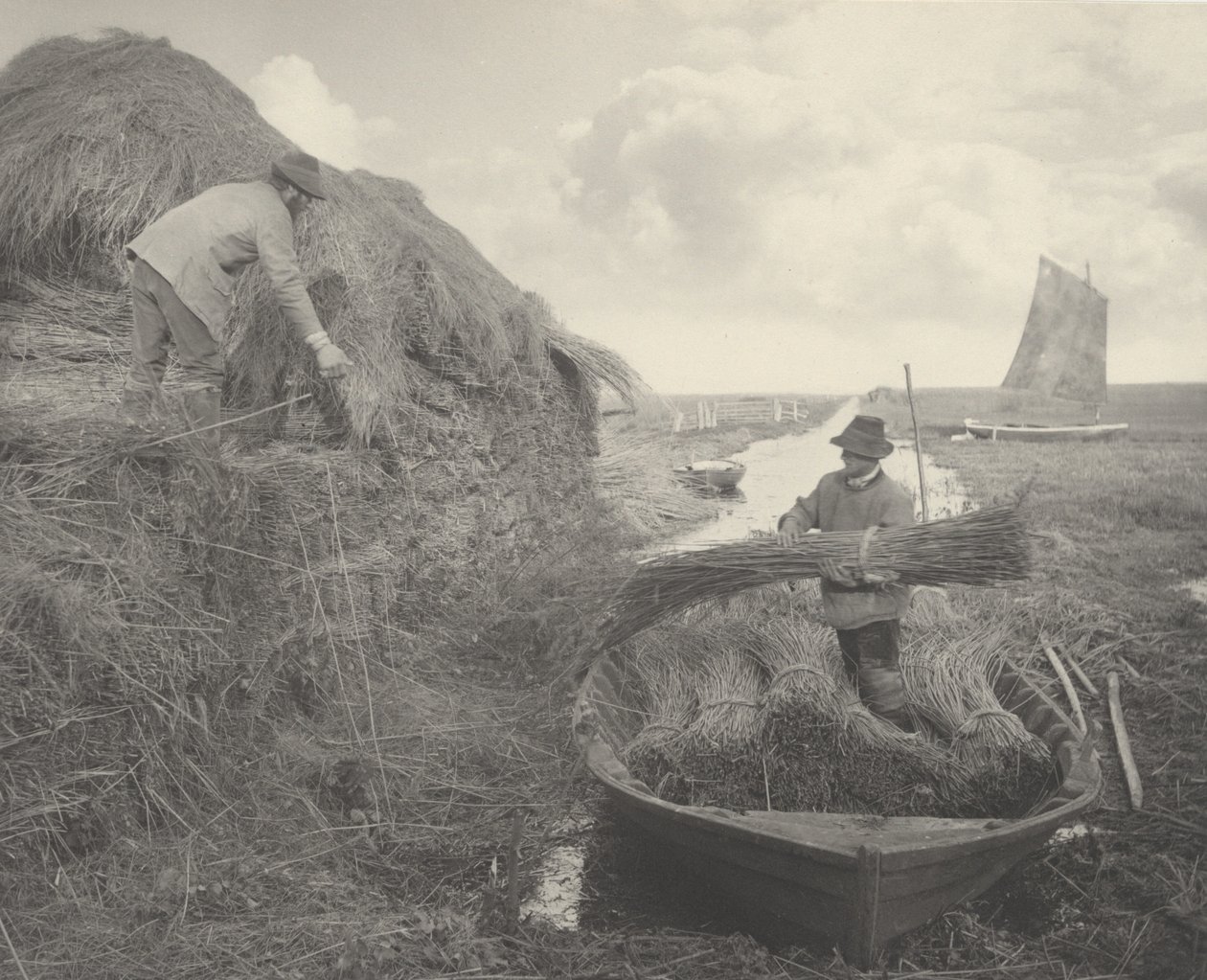 Ryczenie trzciny, 1886 r. (zdjęcie) autorstwa Peter Henry Emerson