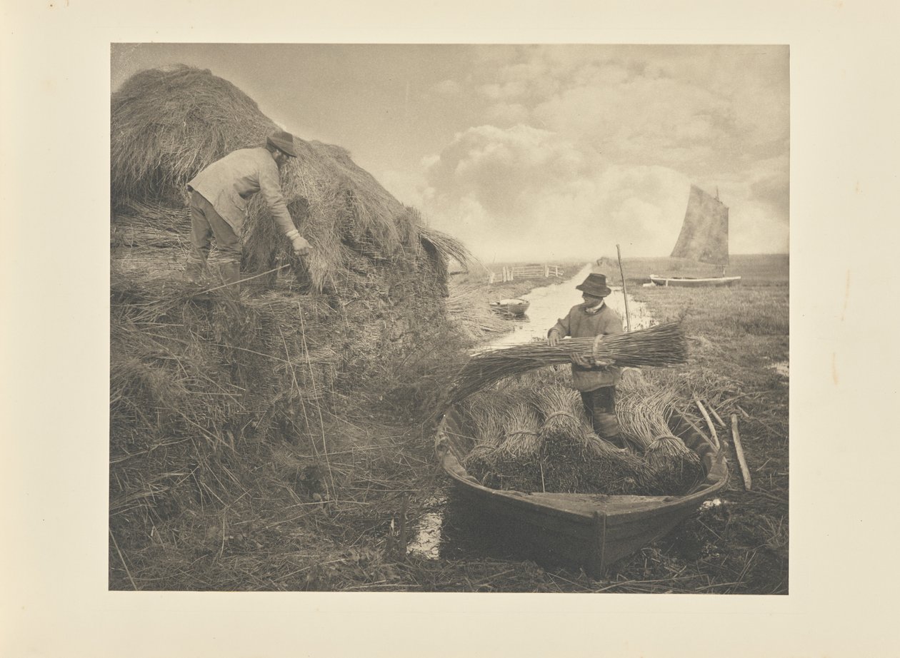 Układanie trzciny w stogi autorstwa Peter Henry Emerson