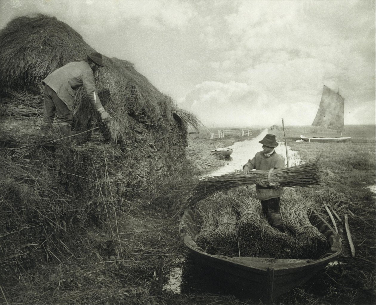 Układanie trzcin w stogi autorstwa Peter Henry Emerson
