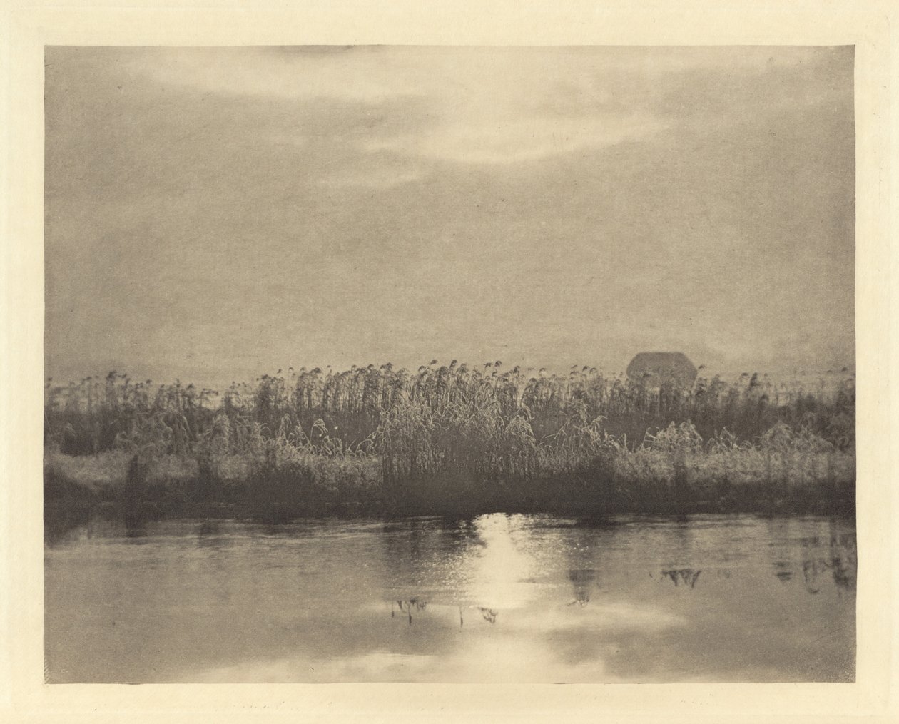 Kryształy szronu autorstwa Peter Henry Emerson