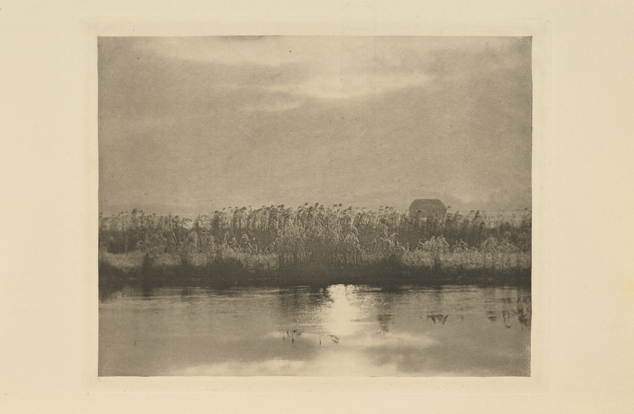 Kryształy szronu autorstwa Peter Henry Emerson