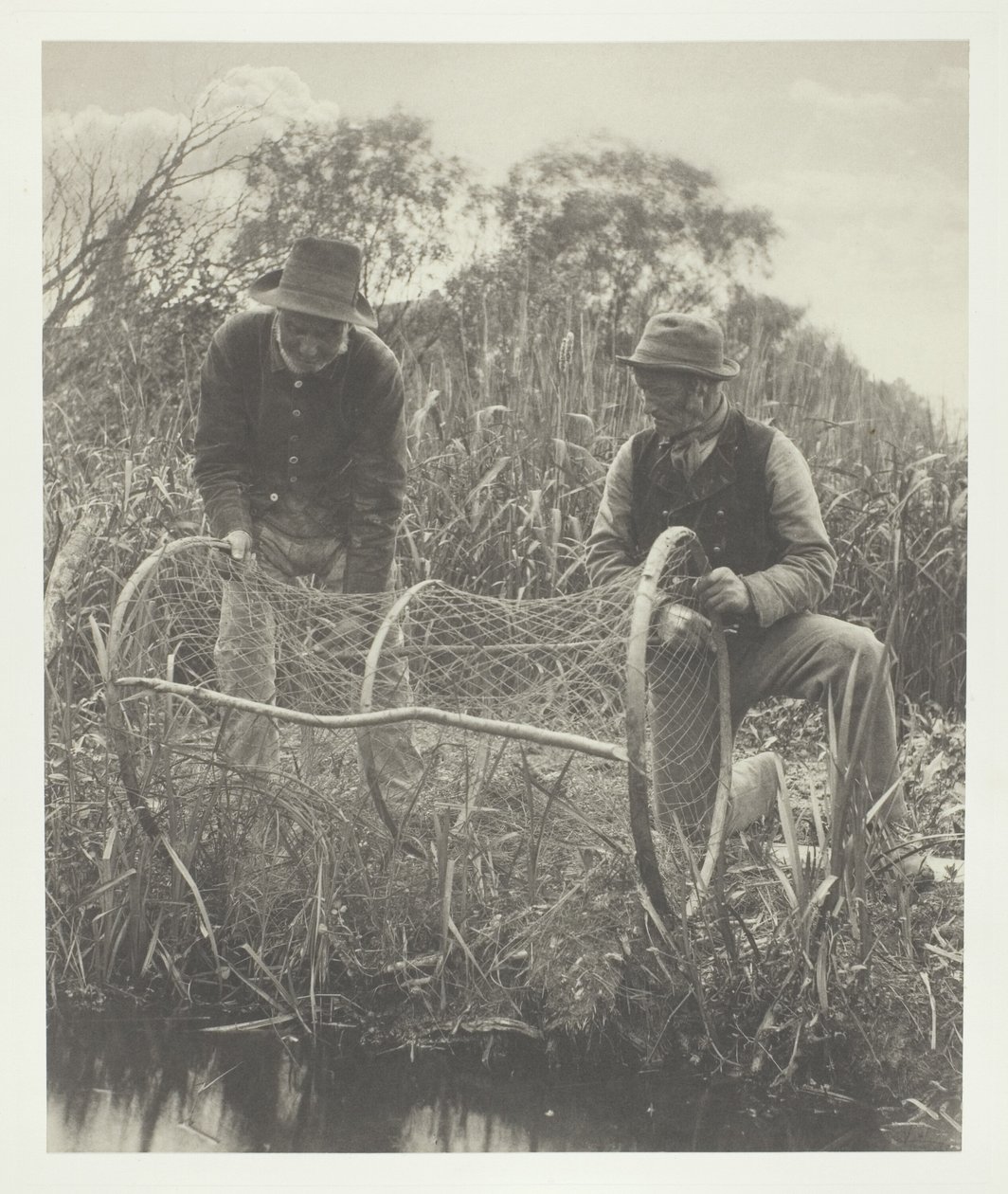 Konfiguracja sieci łukowej autorstwa Peter Henry Emerson