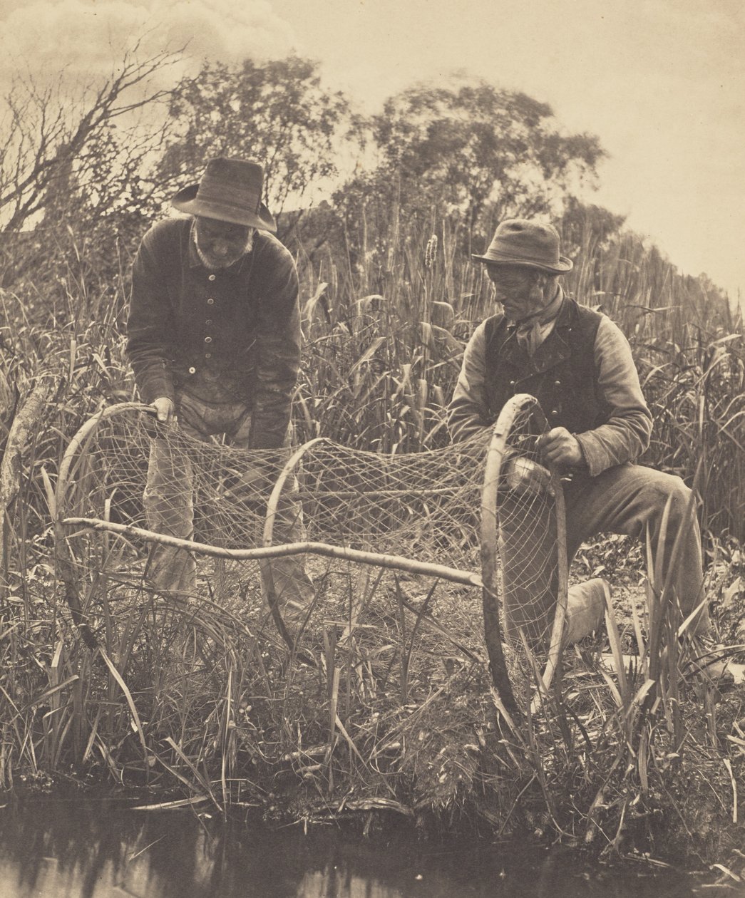 Rozstawianie sieci łukowej autorstwa Peter Henry Emerson