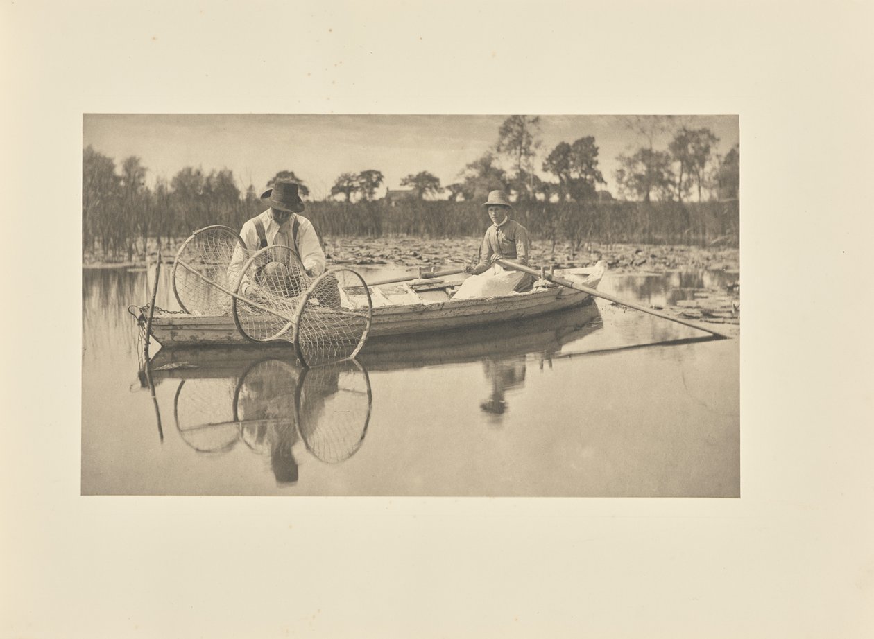 Rozstawianie sieci łukowej autorstwa Peter Henry Emerson