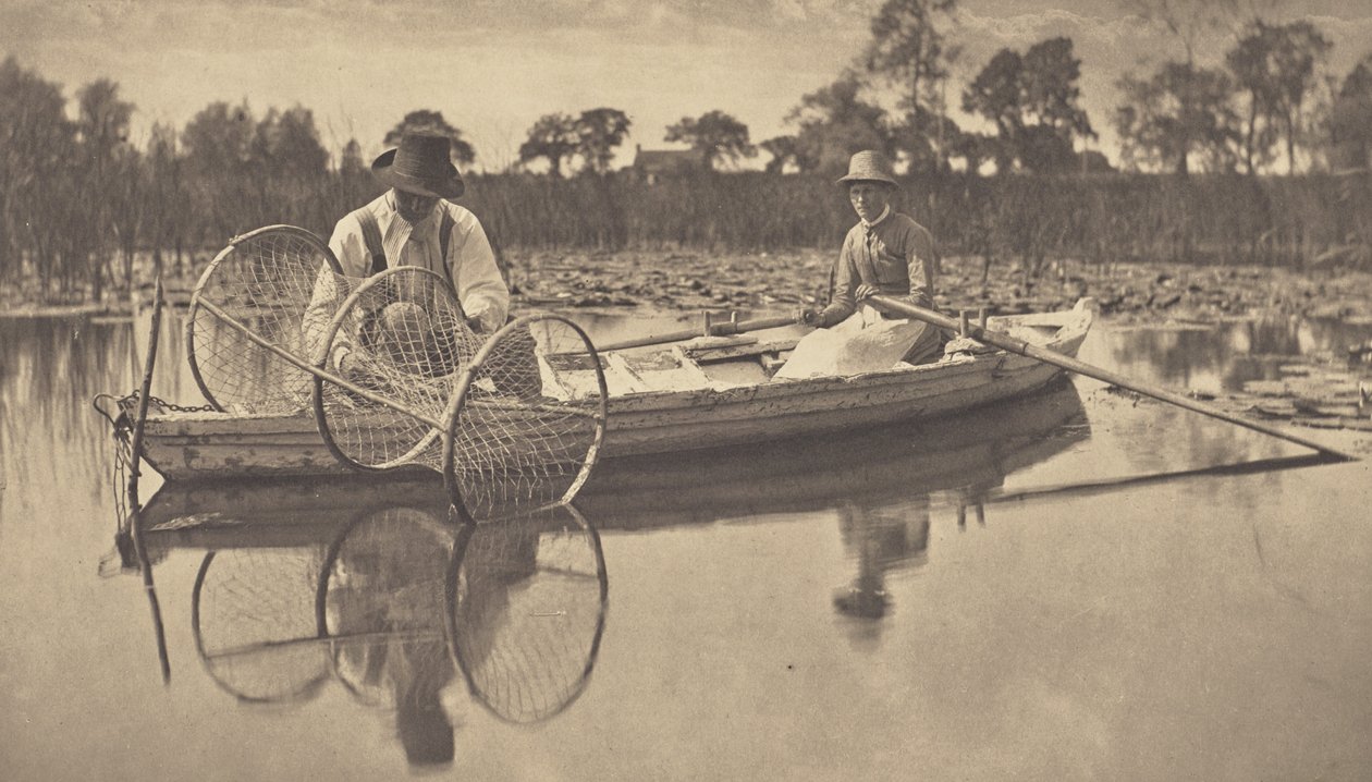 Zastawianie sieci łukowej autorstwa Peter Henry Emerson