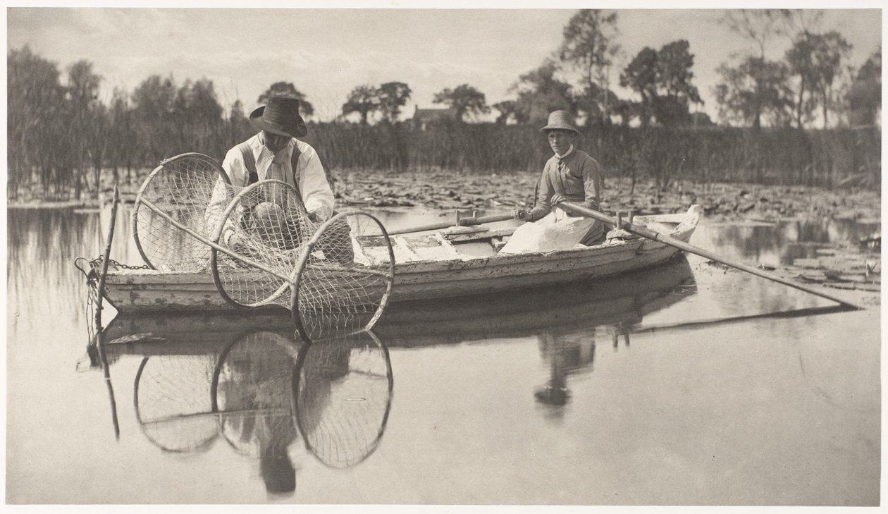 Zastawianie sieci łukowej autorstwa Peter Henry Emerson